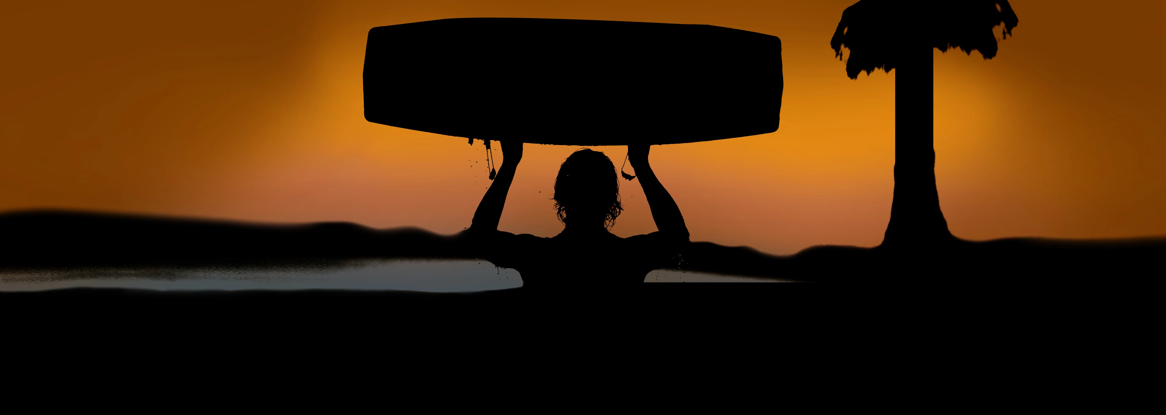 ronix-thank-you-no-text.jpg