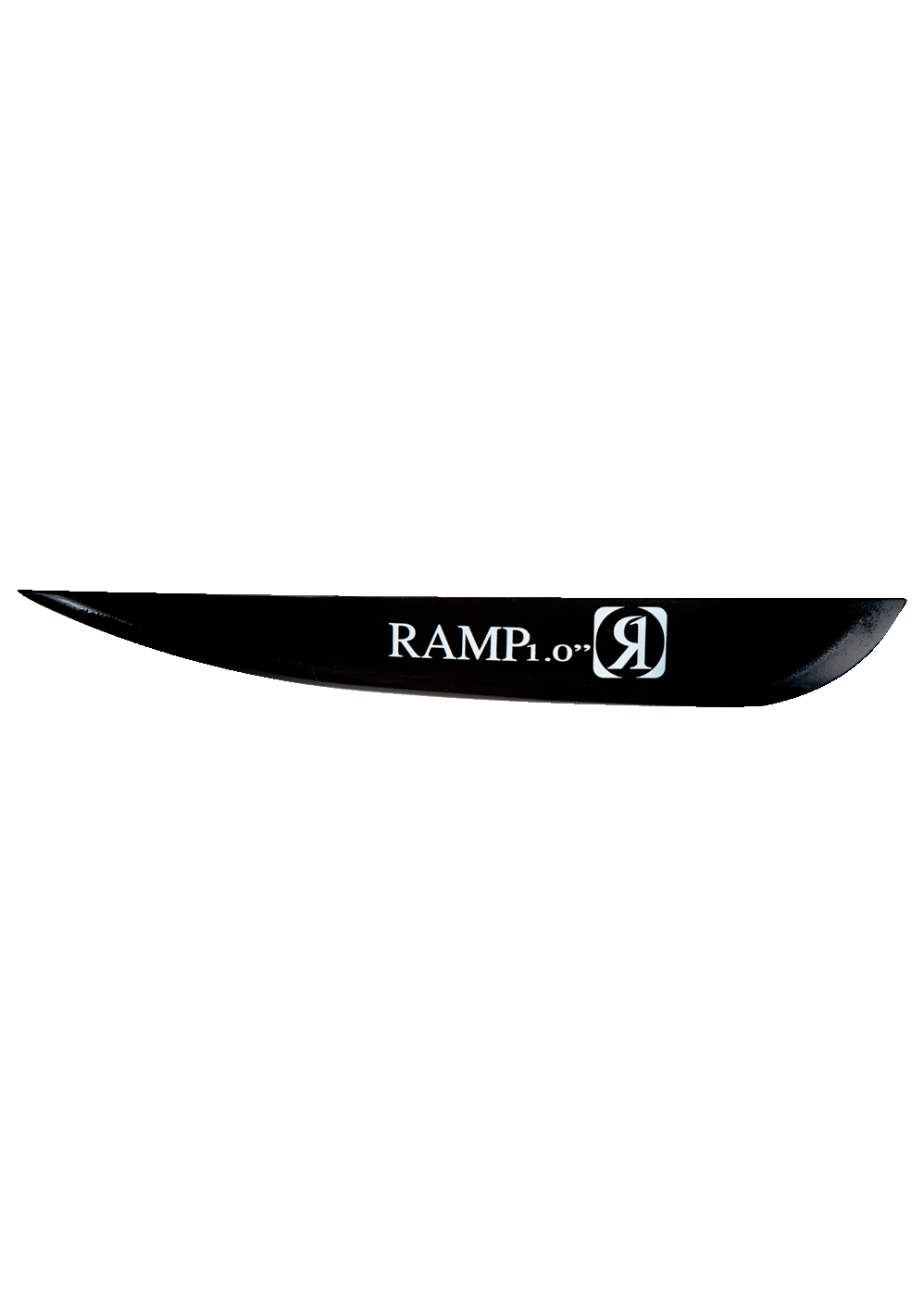 RAMP-FIN-1.0 copy