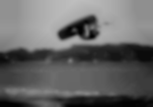 Anthemboot-action1
