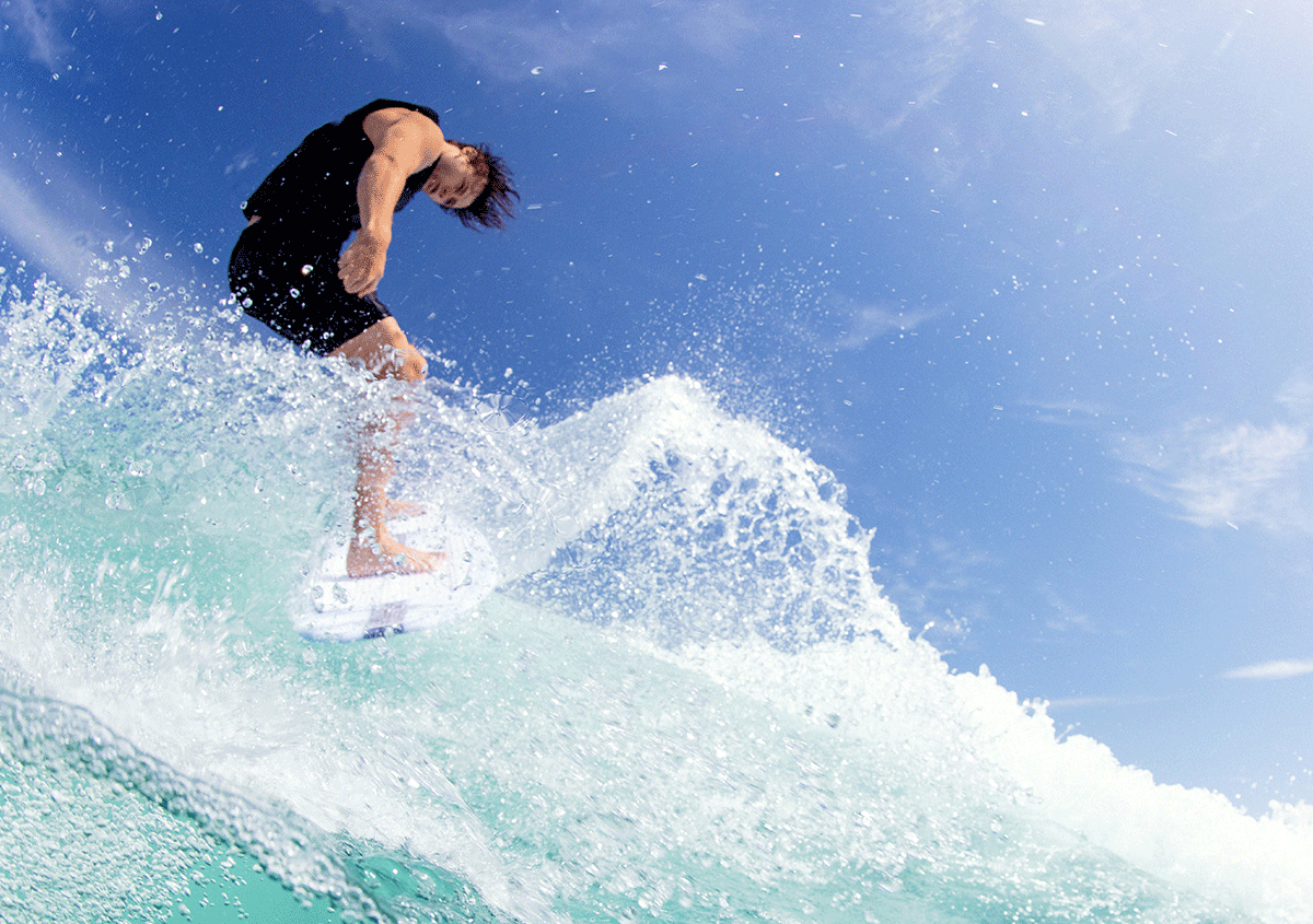 KoalCapella3.0-action3