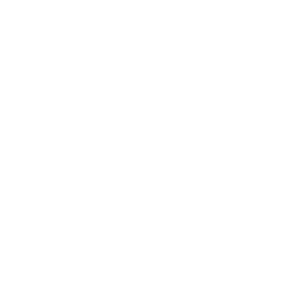 SurfFins