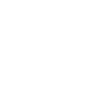 WakeFins