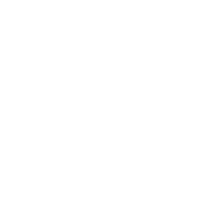 Wakeskates