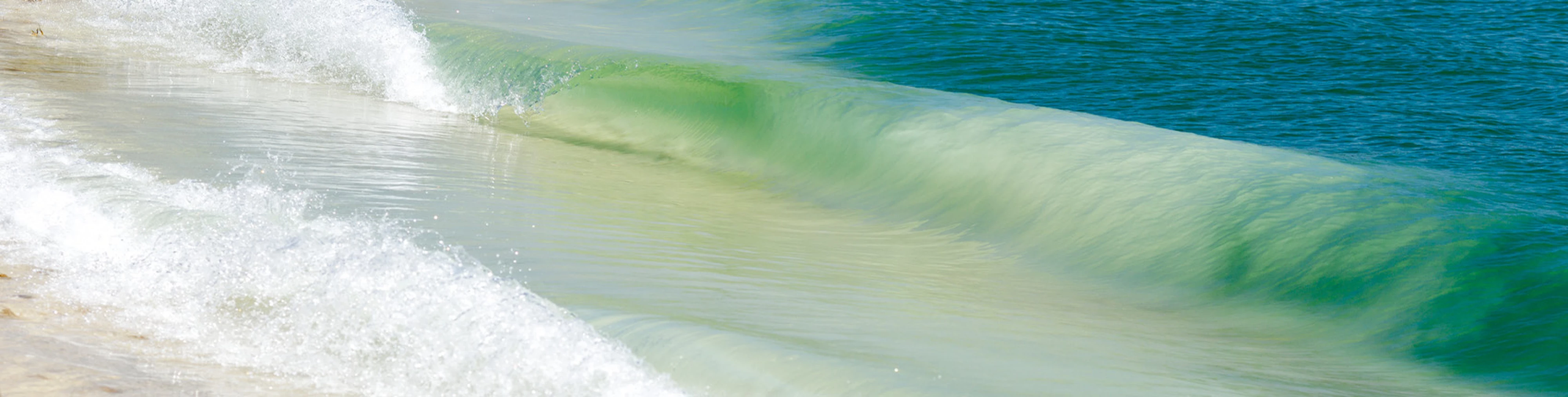 SurfBags2