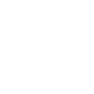 FrontWings