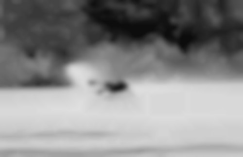 MAX MILDER RONIX TEAM ATHLETE BANNER IMAGE