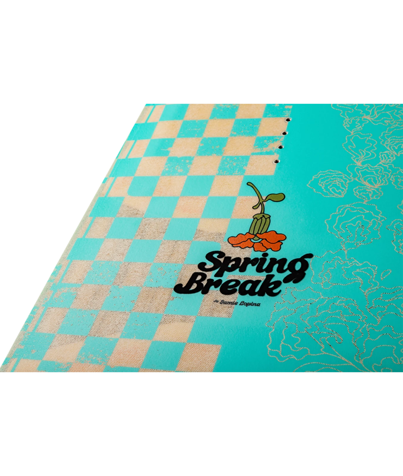 RONIX PARK - SPRING BREAK - 2026 - INSET 1