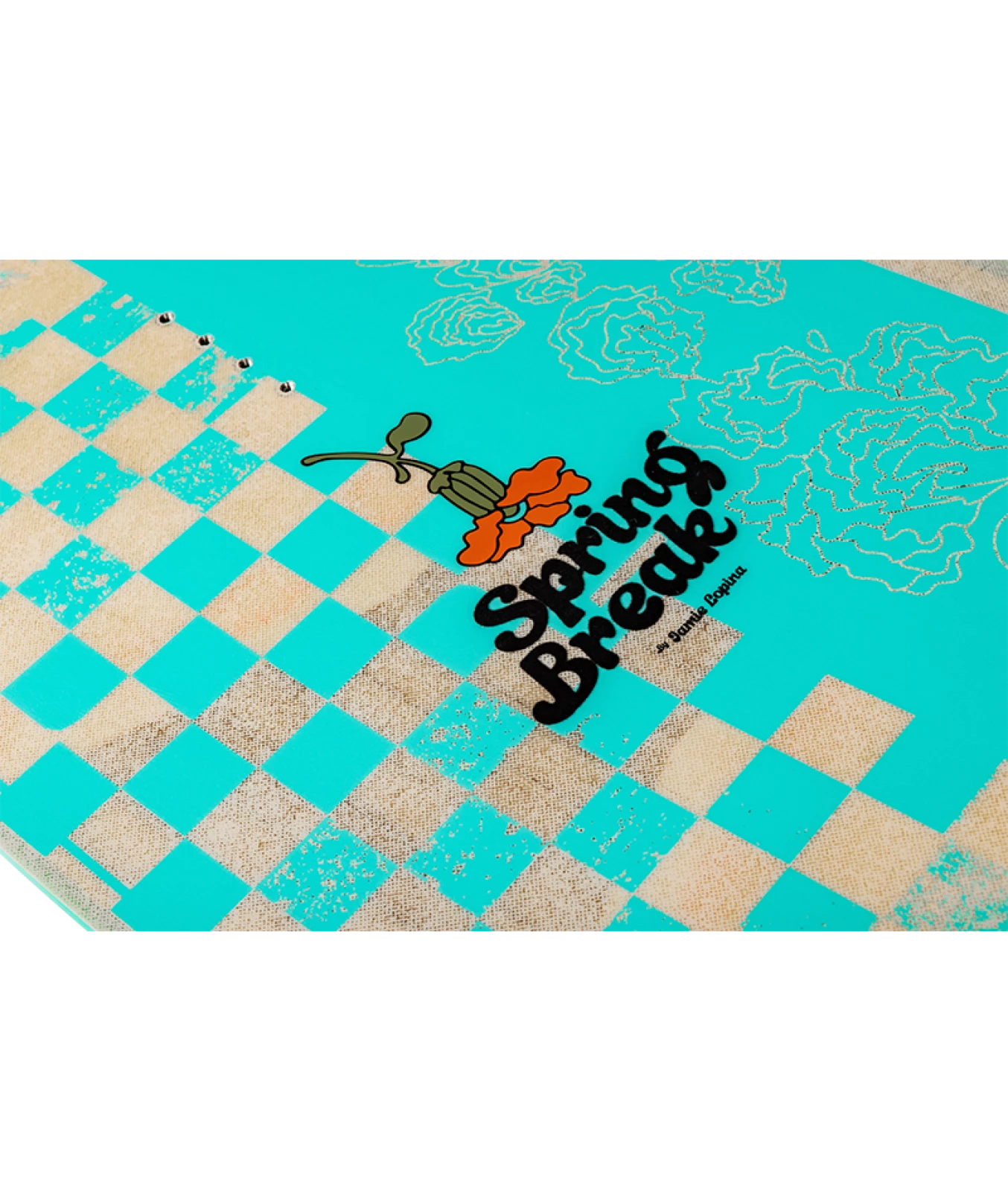 RONIX PARK - SPRING BREAK - 2026 - INSET 3