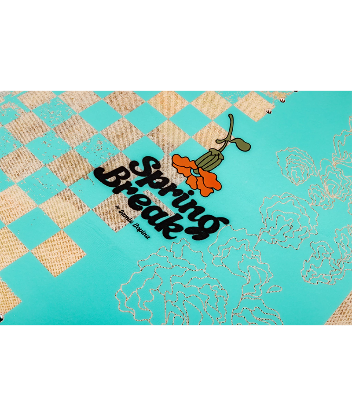 RONIX PARK - SPRING BREAK - 2026 - INSET 5