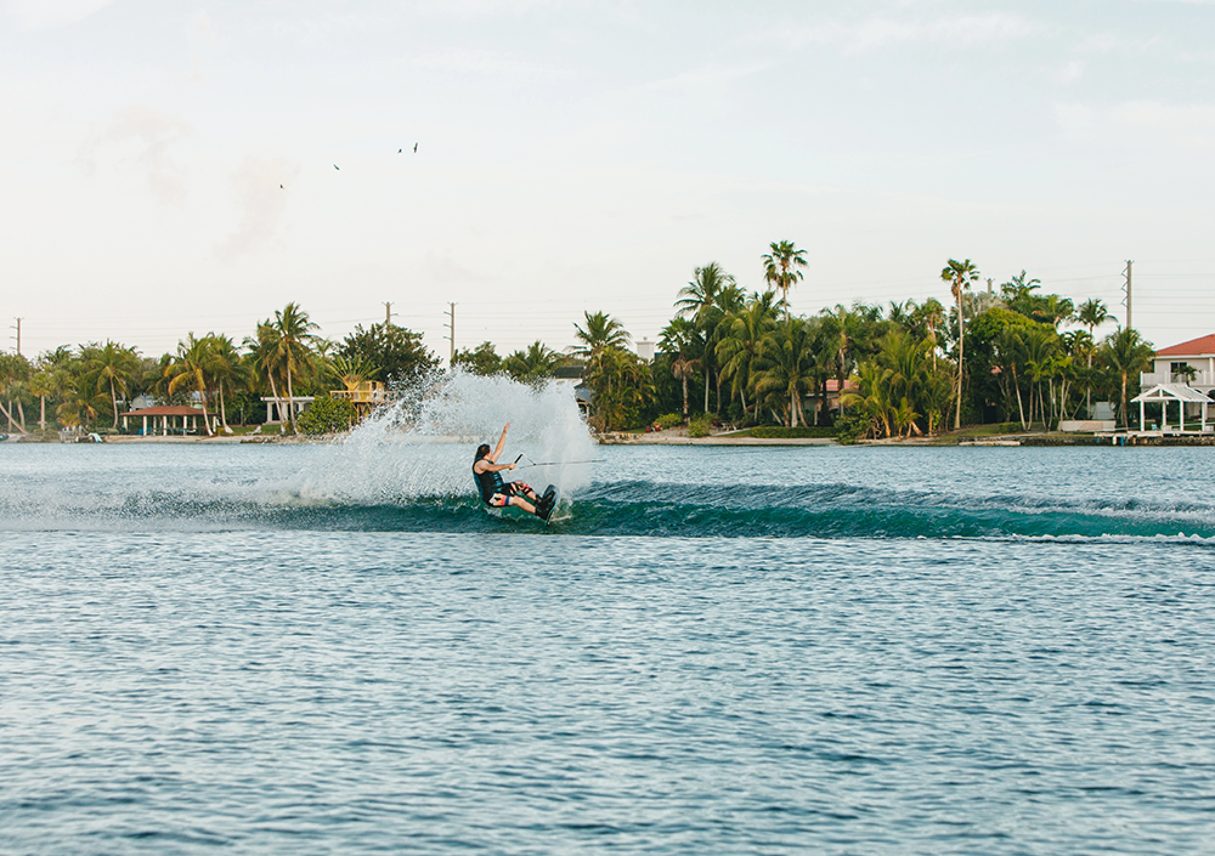 LOWER GALLERY PARKS 2