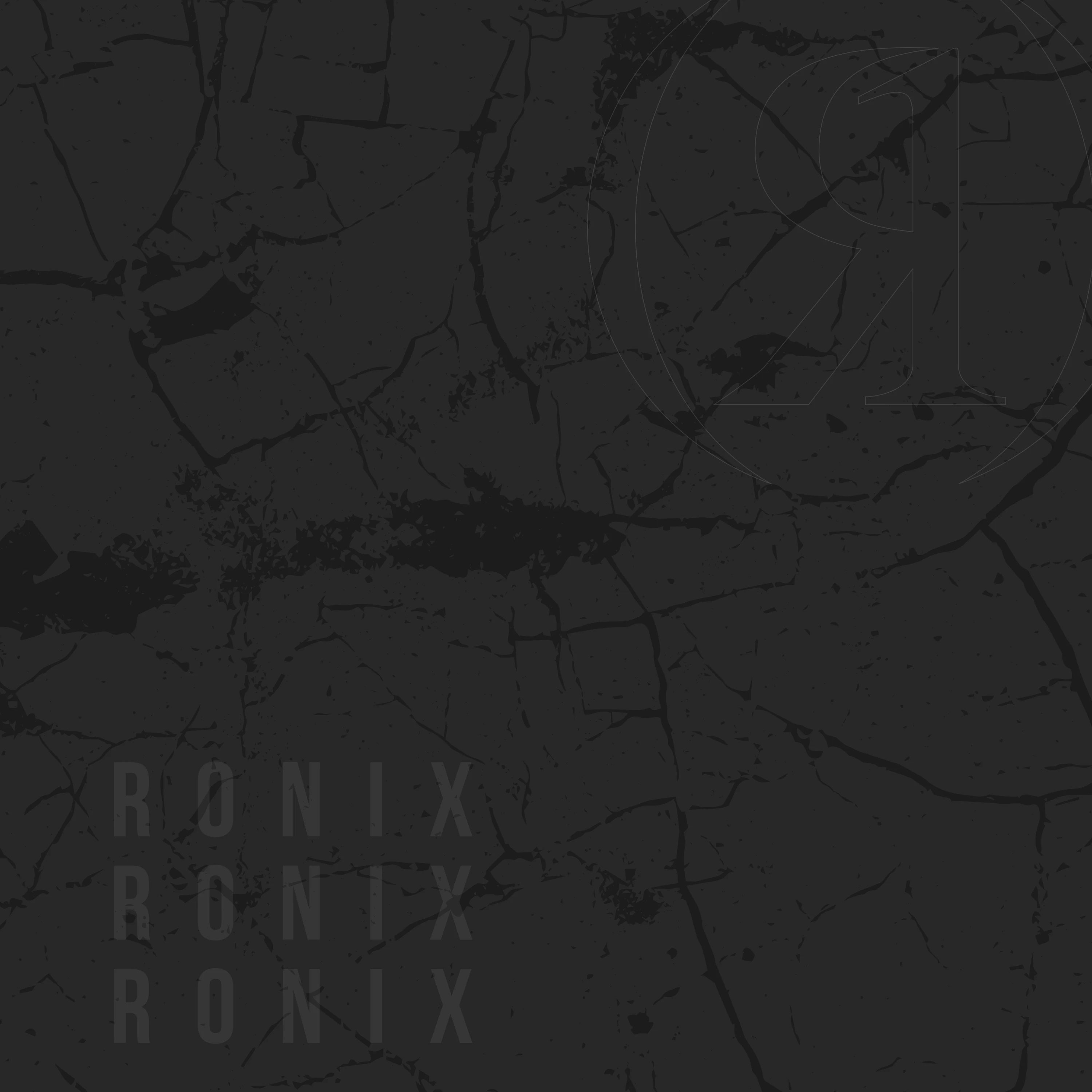 https://ronixwake.com/asset/6a622bb74ef04/2027-RONIX_HOME-BKG.webp