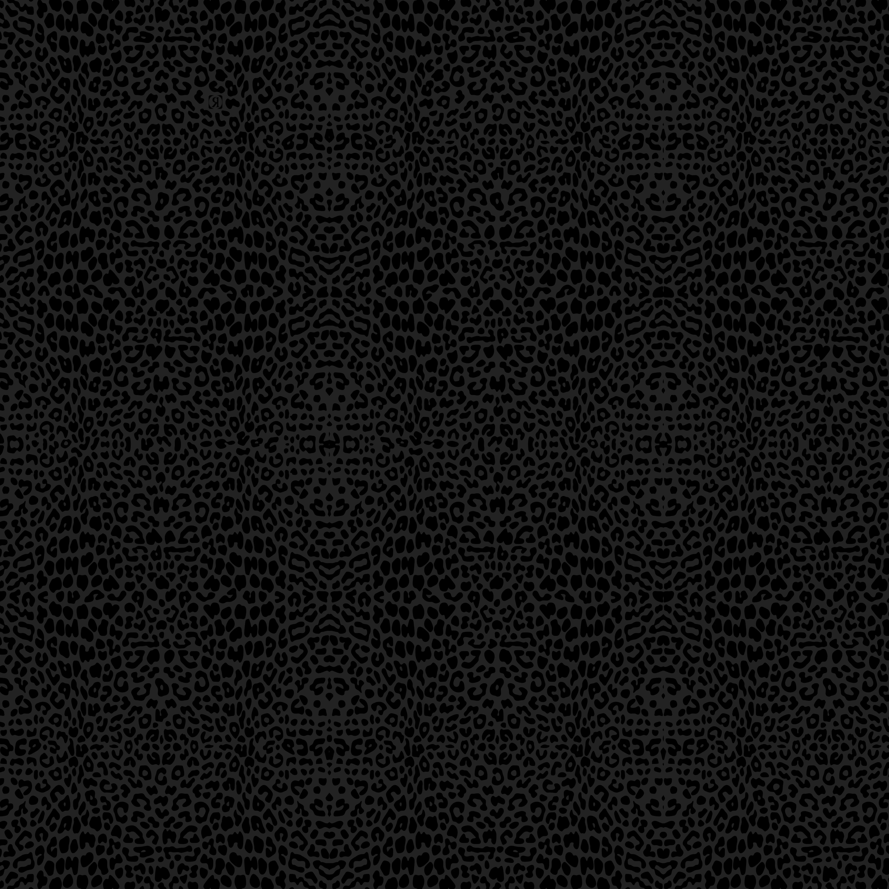 https://ronixwake.com/asset/6a63c8ca7e682/RONIX-COLLECTION-RISE-BACKGROUND.webp
